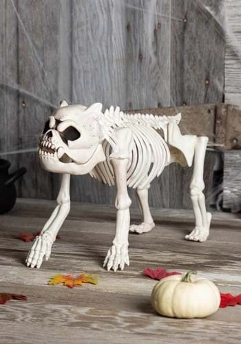 halloweencostumes3267990