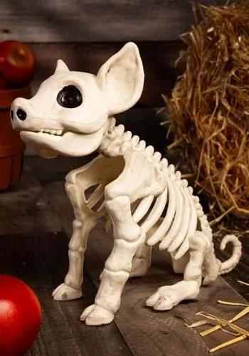 halloweencostumes3972368